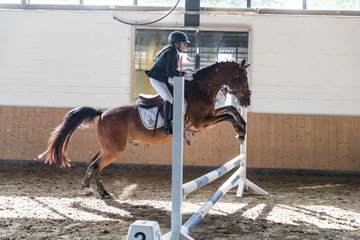 Bild 17 - Pony Akademie Turnier